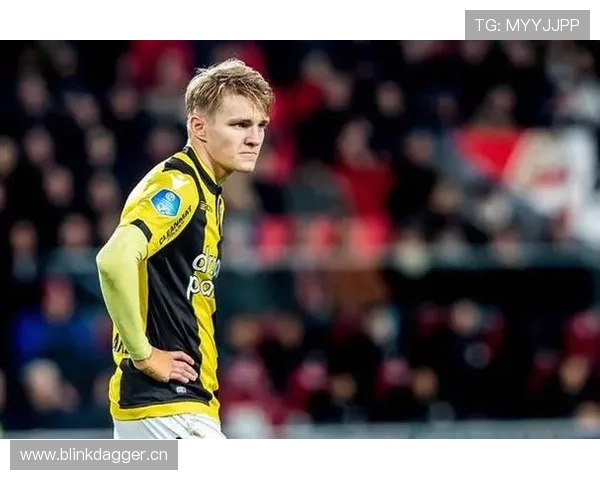 厄德高：从天才少年到核心的荣誉与成长解析